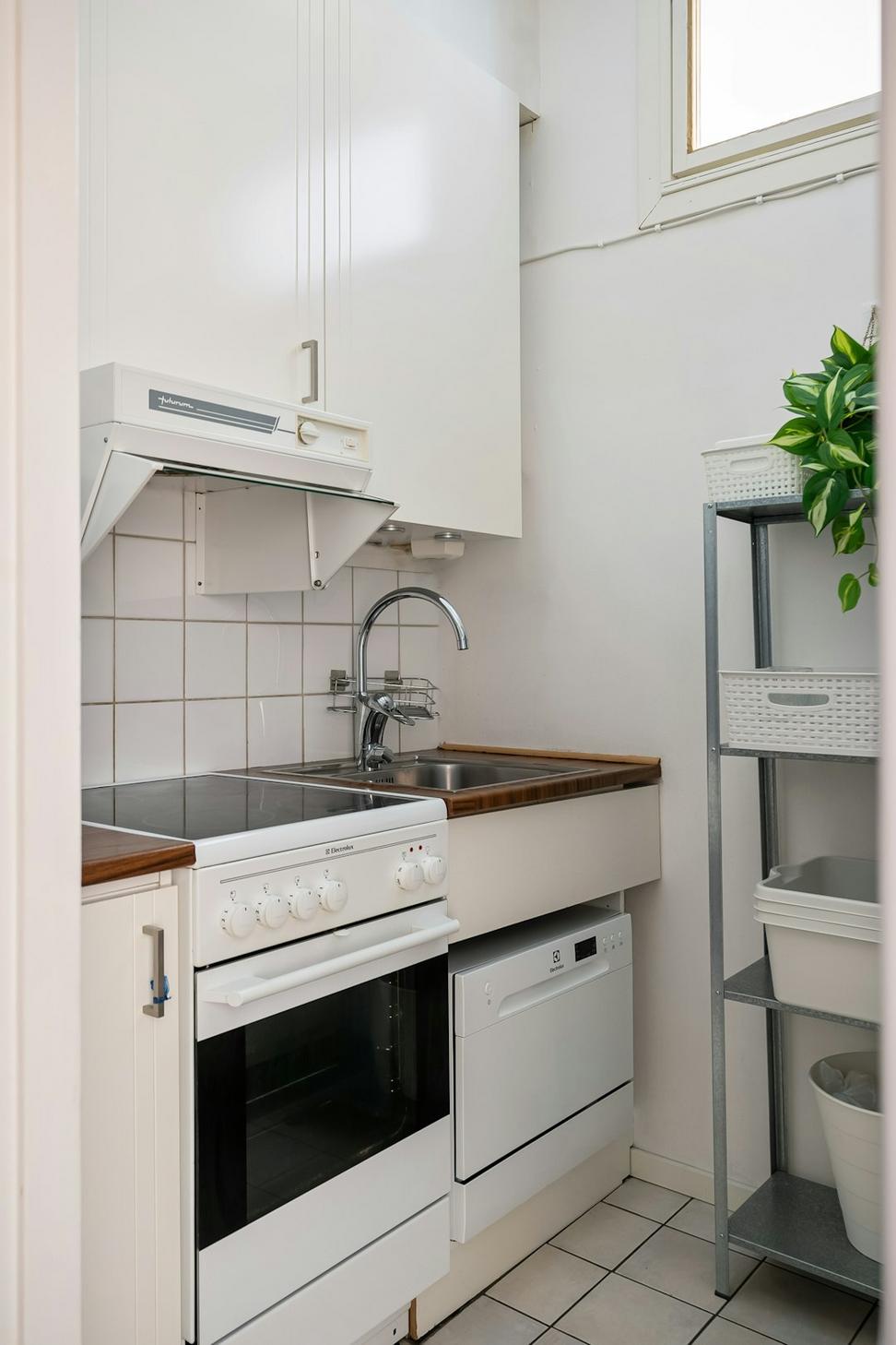 Modern Kitchen Renovation